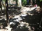 Satılır  torpaq 6 sot, Badamdar q., photo 3 from 6