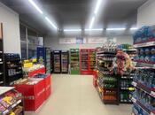 Продаётся  объект 820 м², м. Шах Исмаил Хатаи, photo 3 from 8