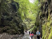 Satılır  torpaq 14 sot, photo 3 from 5