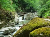 Satılır  torpaq 14 sot, photo 5 from 5