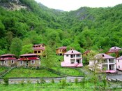 Elan №5887045 - Lerik, Lerik, 14 sot