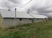 Satılır 2 otaqlı həyət evi/bağ evi 60 m², photo 4 from 8