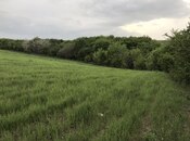 Satılır  torpaq 130 sot, photo 3 from 3