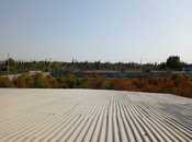 Satılır  torpaq 250 sot, photo 5 from 8