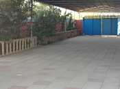 Satılır  torpaq 250 sot, photo 4 from 8