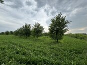 Satılır  torpaq 210 sot, photo 3 from 8