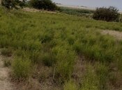 Elan №5887412 - Bakı, Pirallahı r., 20 sot