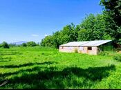 Объявление №5887430 - Шеки, Шеки, 82 сот