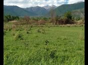 Продаётся  участок 82 сот, photo 8 from 8