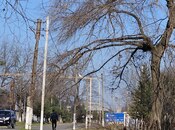 Продаётся  участок 93.4 сот, photo 4 from 8