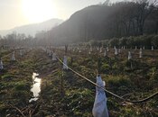 Продаётся  участок 93.4 сот, photo 2 from 8