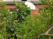 Продаётся 3-комн. дом/дача 150 м², пос. Сулутепе, photo 4 from 8