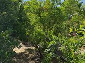 Продаётся 3-комн. дом/дача 150 м², пос. Сулутепе, photo 7 from 8