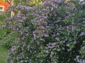 Продаётся 3-комн. дом/дача 150 м², пос. Сулутепе, photo 2 from 8