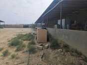 Объявление №5888606 - Баку, пос. Мамедли, 650 м²