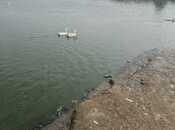 Продаётся  объект 650 м², пос. Мамедли, photo 6 from 8