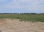 Продаётся  объект 650 м², пос. Мамедли, photo 7 from 8