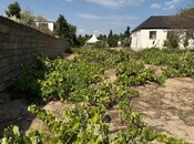 Elan №5888943 - Bakı, Pirşağı q., 1200 sot