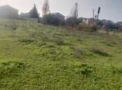 Elan №5889480 - Masallı, Masallı, 6 sot