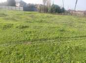 Satılır  torpaq 6 sot, photo 3 from 3