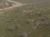 Продаётся  участок 12 сот, пос. Мехтиабад, photo 5 from 8