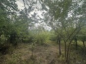 Satılır  torpaq 10 sot, photo 2 from 5