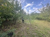 Satılır  torpaq 10 sot, photo 3 from 5