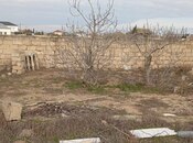 Объявление №5889741 - Баку, пос. Зире, 6 сот