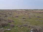 Объявление №5889768 - Баку, пос. Деде Горгуд, 100 сот