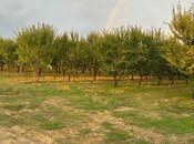 Satılır  torpaq 1 200 sot, photo 1 from 4