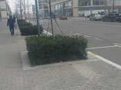 Сдаётся  объект 2 000 м², пос. Аг шехер, photo 4 from 7