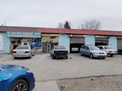 Elan №5891141 - Bakı, Saray q., 600 m²