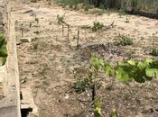 Продаётся  участок 6 сот, пос. Новханы, photo 5 from 5