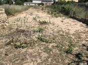 Продаётся  участок 6 сот, пос. Новханы, photo 3 from 5