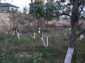 Продаётся  участок 7 сот, пос. Бюльбюля, photo 6 from 8