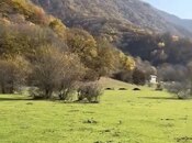 Satılır  torpaq 200 sot, photo 6 from 8