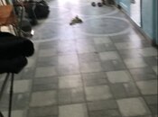 Сдаётся 5-комн. дом/дача 120 м², пос. Бакиханова, photo 4 from 4