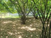 Satılır  torpaq 9 sot, photo 7 from 7