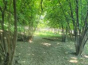 Satılır  torpaq 9 sot, photo 6 from 7