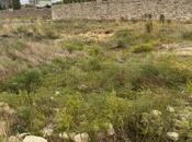 Satılır  torpaq 10 sot, Dübəndi q., photo 2 from 6