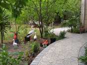 Elan №5892181 - Quba, Quba, 2 otaqlı, 200 m², 2/2 mərtəbə