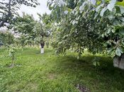 Сдаётся 3-комн. дом/дача 200 м², photo 6 from 8