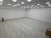 Сдаётся  объект 20 м², м. Низами, photo 4 from 8