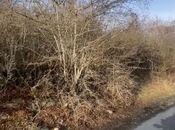 Satılır  torpaq 12 sot, photo 2 from 8