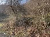 Satılır  torpaq 12 sot, photo 5 from 8