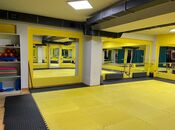 Продаётся  объект 500 м², м. Иншаатчылар, photo 8 from 8