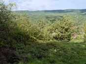 Продаётся  участок 18 сот, photo 2 from 8