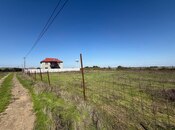 Elan №5893798 - Masallı, Masallı, 6 sot