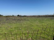 Satılır  torpaq 6 sot, photo 2 from 8