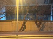 Satılır  obyekt 200 m², 28 May m., photo 6 from 7